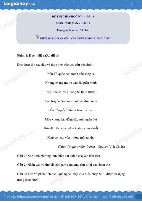 Đề kiểm tra giữa học kì I Ngữ văn 11 - Đề số 14 có lời giải chi tiết